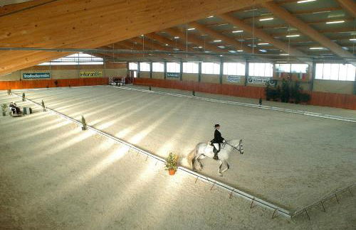 Albergo Residence Perosi - Foto 28