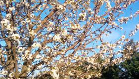 Agriturismo Il Magicorto - Foto 4