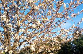 Agriturismo Il Magicorto - Photo 4