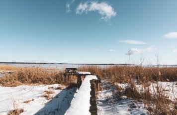 Leśna 21 Dom Południe przy PUSZCZA BIAŁOWIESKA - Foto 62