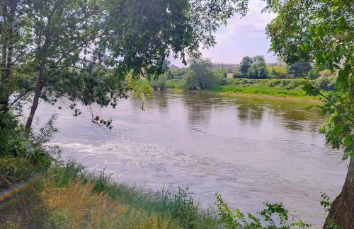 Le gite de l'ile du Buzet - Photo 1