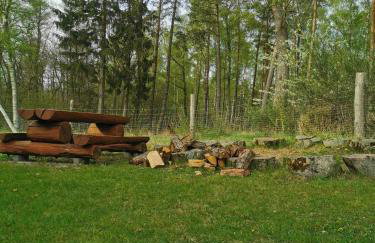 Nina Kopalino - Foto 43