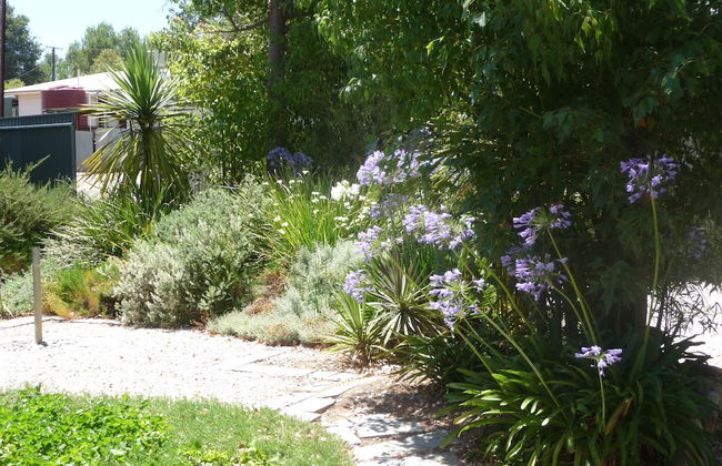 Country Bakehouse Accommodation - Foto 26