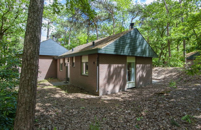 Bungalow in De Peel by Tranquil Forest - Photo 17