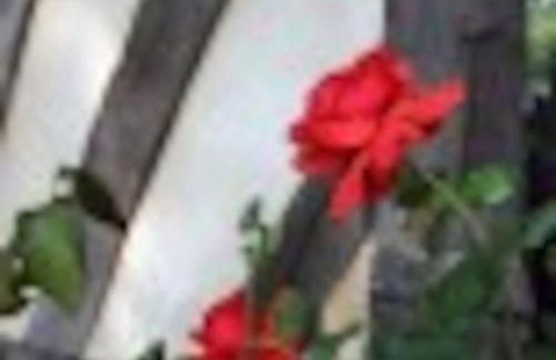 COHCO'ART GITES - Foto 17