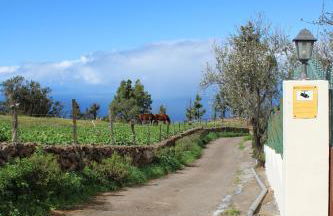 Falcon Crest - Photo 38