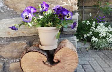 Casa per vacanze degli gnomi - Foto 28