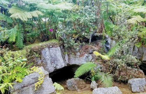 'Ama'u Lani Cottage - Foto 19