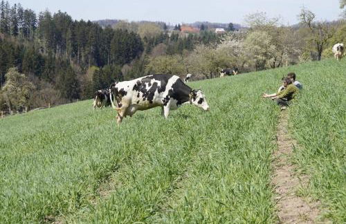 Bushof - Leben auf dem Land - Foto 10