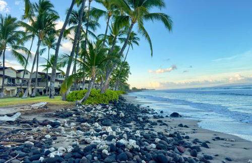 Puamana 30-2 - Foto 49