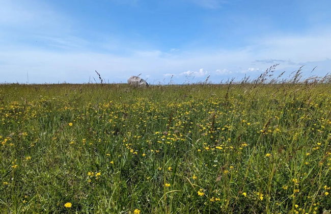 Retro Beach Retreat in Gedesby - Foto 5