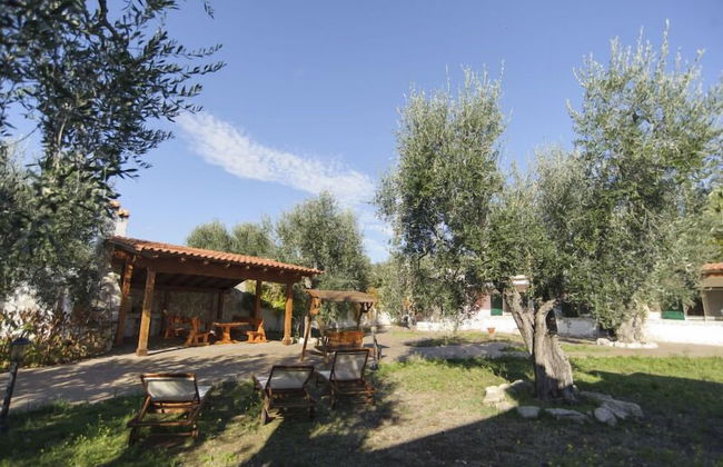 Borghetto Tio Pepe - Photo 34