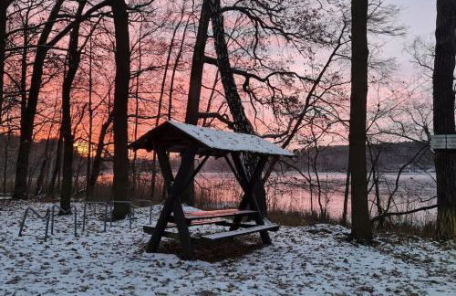 Blockhaus an der Dahme , Ferienhaus - Foto 2