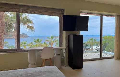 Blue Angel Villa Luxury Seafront Estate - Foto 25