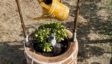 Monte da Rochela - Foto 4, Garden, Garden view