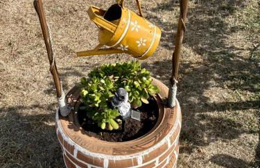 Monte da Rochela - Foto 4