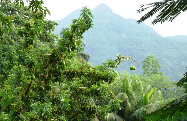 Romance Bungalows - Foto 50