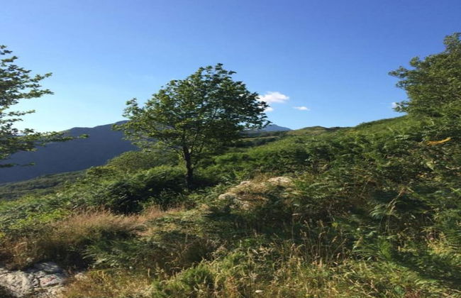 Pescaglia Serene Retreat - Foto 25