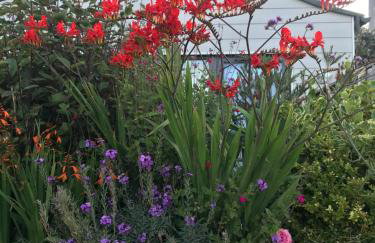 Ocean Drive Deluxe Apartment with complimentary Day Time Beach hut - Foto 25