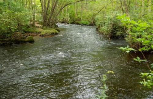 The Giddyup Getaway at The River Haven Sanctuary - Foto 13