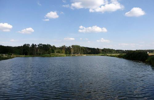 Godzisz - domek rekreacyjny - Foto 37