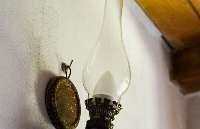 Ars Naturae Biologic Farm - Foto 54