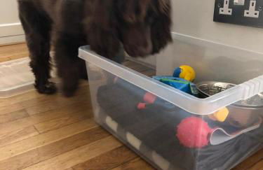 Pottery Gate, Bowness-on-Windermere - Foto 31