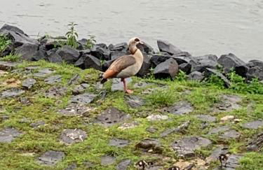 DeNi's Ferienwohnungen - Foto 47