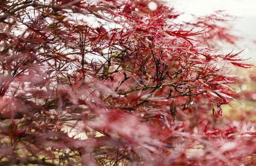 Agriturismo L'Essiccatoio - Foto 25