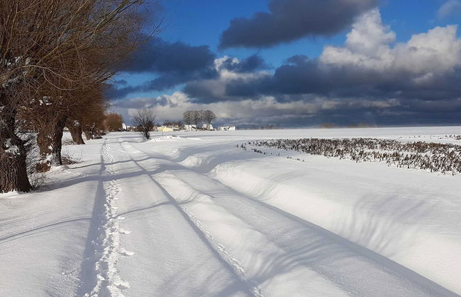 Ferienwohnung auf Insel Poel - Foto 19