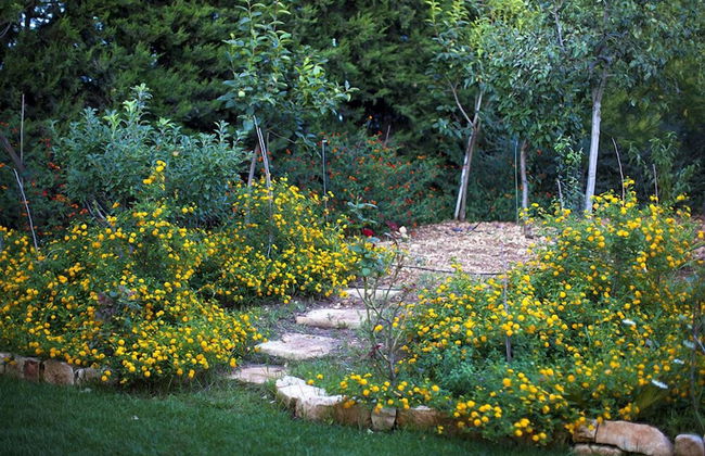 Montepaolo Dimora di Charme - Foto 59