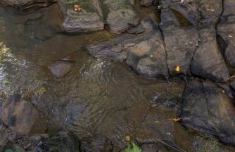 Modern Mirror Home w/ Hot-tub | “Glass House” #3 - Foto 31