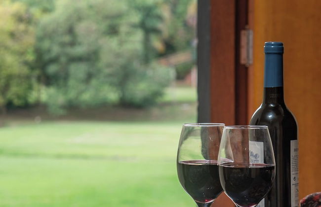 Hotel Fazenda Estancia Reviver - Foto 52