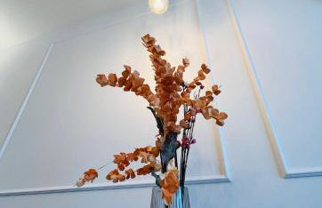 Apt Ljupka - Zadar - with private free parking - Foto 15