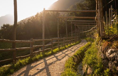 Pergola Residence - Foto 66