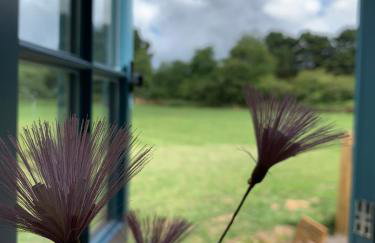 St. Kew Shepherd Huts - Foto 14