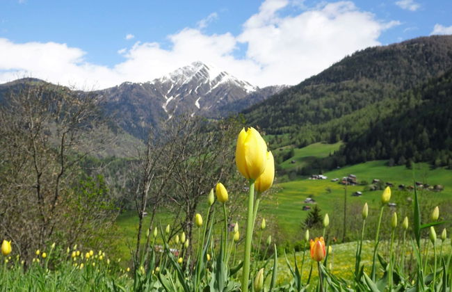 LuxLax 2. OG Süd - Foto 27