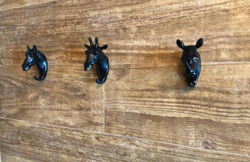 Ed Saint Moritz, Flat 01 com Garagem, SHN no Coração de Brasília - Foto 13