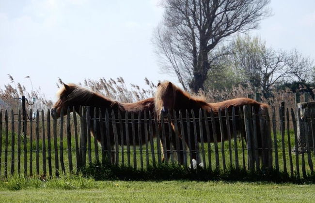 Apartment for 4 People With Terrace - Foto 28