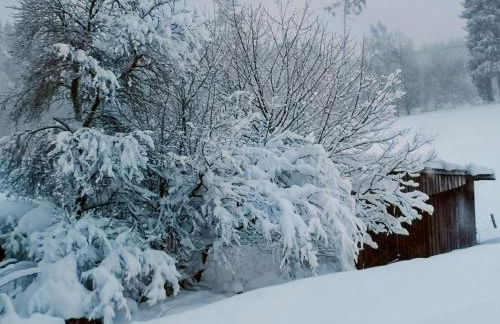 Pumphuts Scheune Ferienwohnungen Nr 1 - 4 beim Freizeitpark Plohn - Foto 71