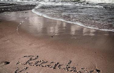 Paradiso Rusinowo - Foto 29