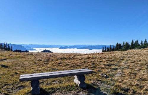 Ferienwohnung Waldzeit - Photo 6