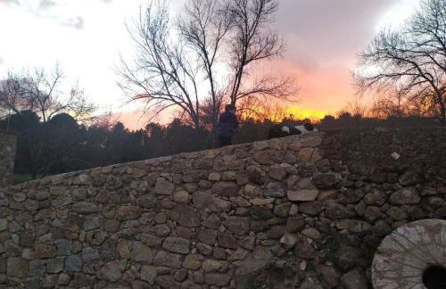 Molino Mellado - Foto 20