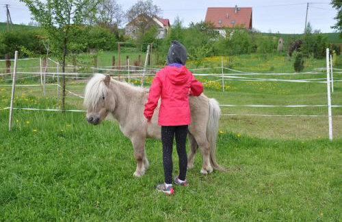 Toskania Kociewska - Photo 49