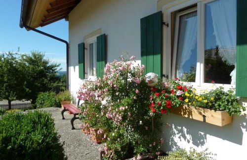 Ferienwohnung Hörnle - Foto 24