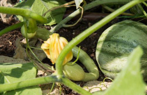 Villa Annetta - Foto 70