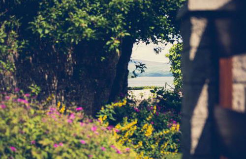 Walled Garden Lodges Loch Lomond - Foto 18