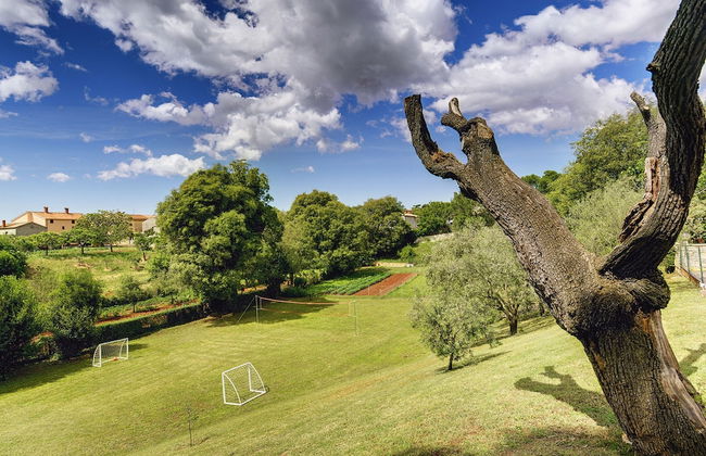 Holiday House in Muntic, Istria, With Fitness Room - Foto 28