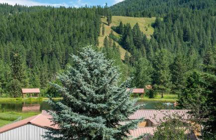 Hansel Getaway Chalet - Foto 6