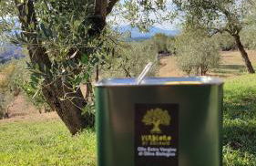 Agriturismo Cafaggio Primo - Foto 65